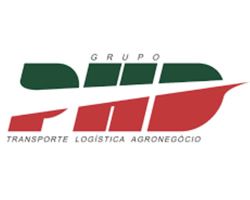 Grupo Phd